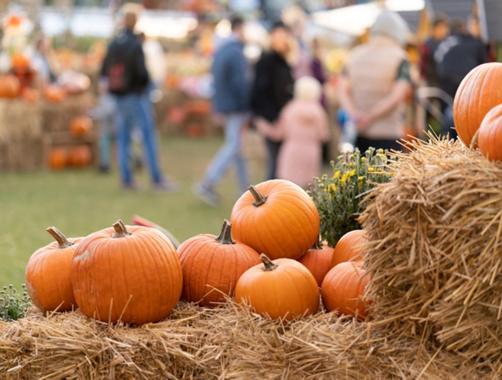 New Jersey Has One of the Nation's Best Fall Festivals