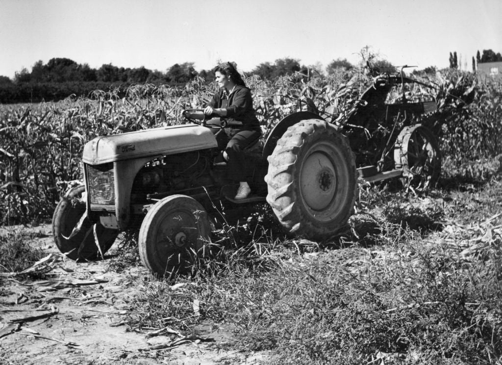 Farmer in New Jersey